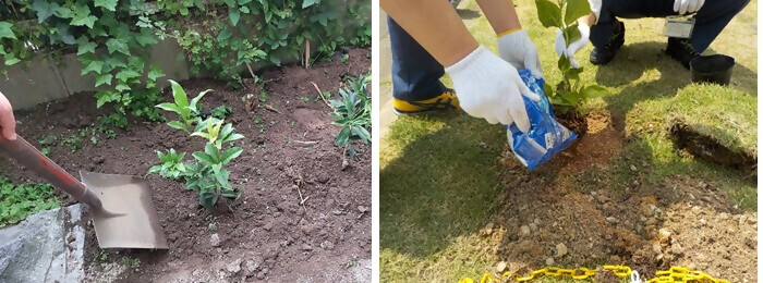 写真：植樹の様子（株式会社荏原製作所中部支社）