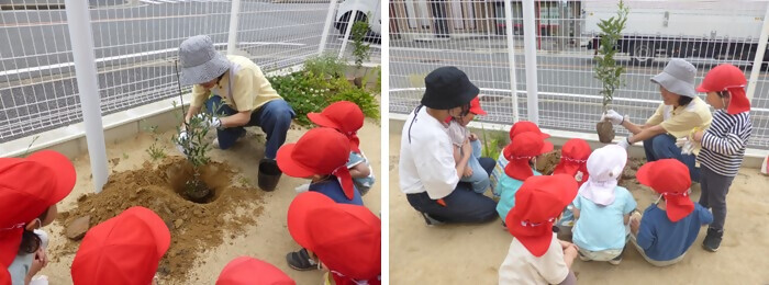 写真：植樹の様子（明野保育園）