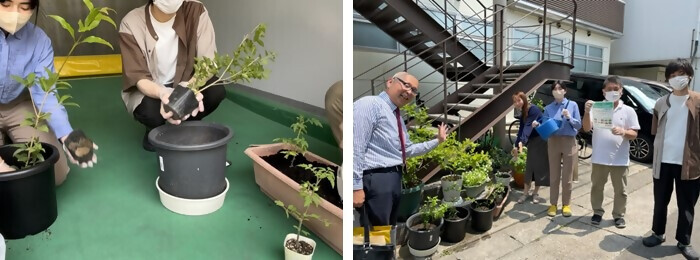 写真：植樹の様子（株式会社マルワ）