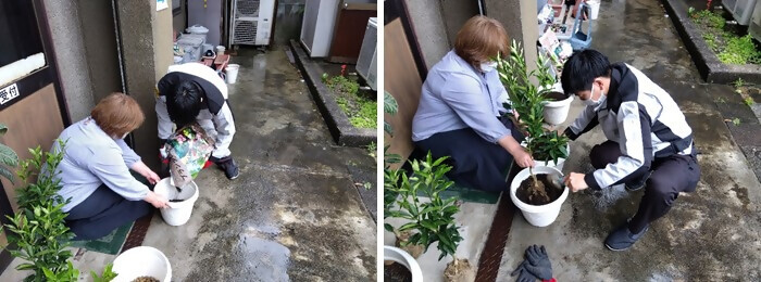 写真：植樹の様子（エムアンドエヌ株式会社）