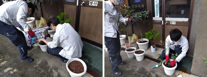 写真：植樹の様子（株式会社杉本組）