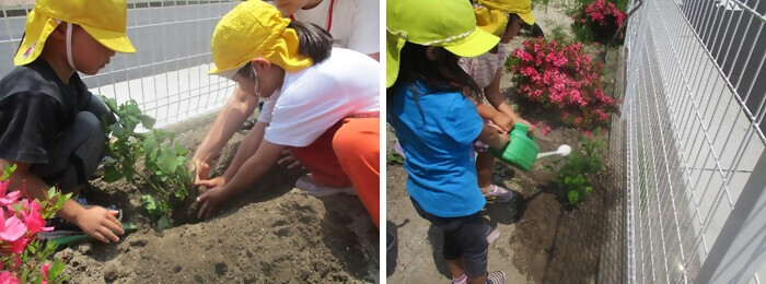 植樹の写真（荒輪井保育園）