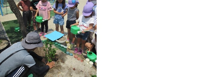 植樹の写真（大高保育園）