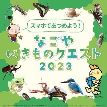 写真:タイトルの挿絵