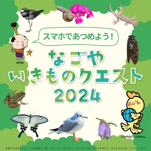 写真:なごやいきものクエスト2024のチラシ