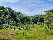 写真：八竜緑地