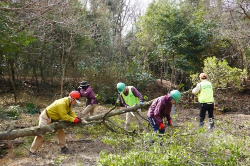 写真:保全活動の様子