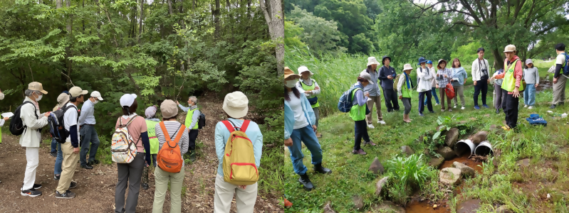 写真:観察会の様子