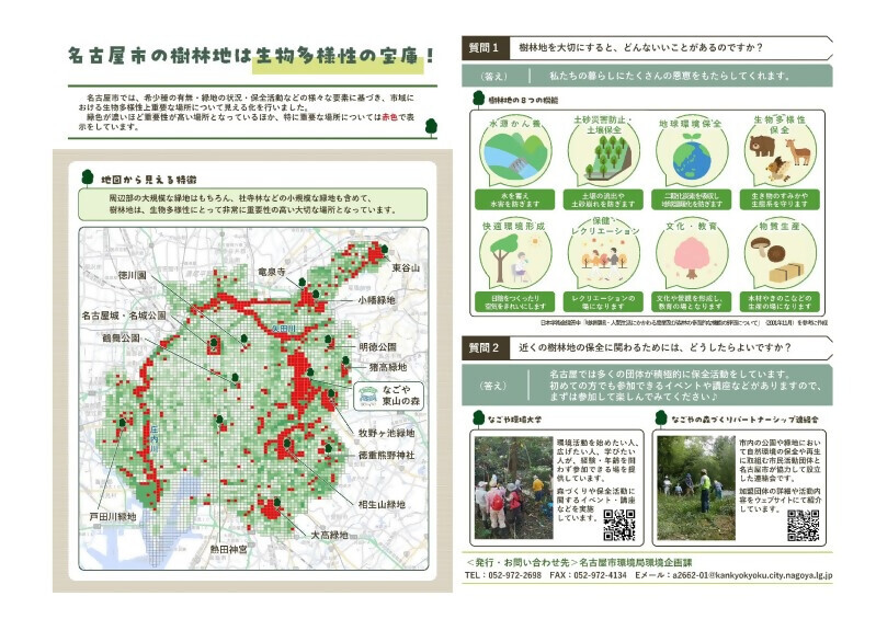 写真:広報用チラシ