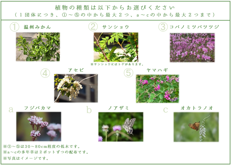 写真:植物の種類