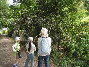 写真:一斉調査の様子