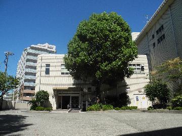 写真:生物多様性センター外観