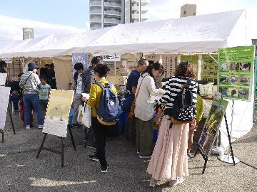 写真:第5回生物多様性センターまつりの様子