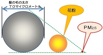 写真:髪の毛の太さは約70マイクロメートル、花粉は30マイクロメートル、PM2.5は2.5マイクロメートルで髪の毛の太さの28分の1です