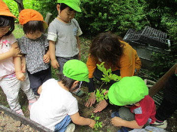 写真:なごやグリーンウェイブ2020における植樹の様子です。