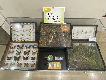 写真:作成した展示