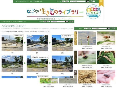 画面:なごや生きものライブラリーウェブページ