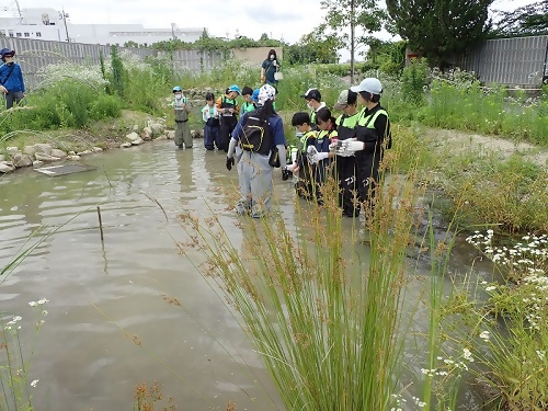 写真：ビオトープを活用した啓発