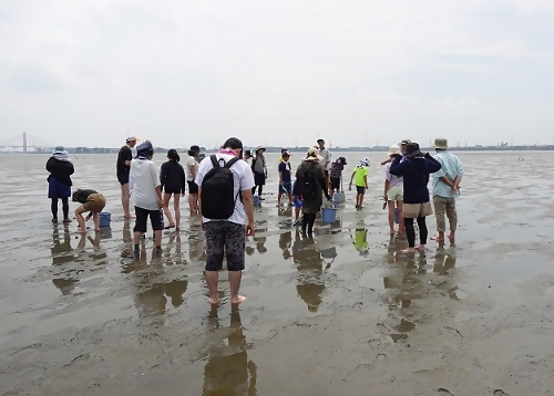 写真：藤前干潟活動体験