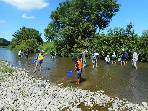 写真：生きもの調査