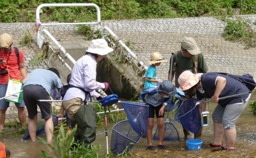 写真:水辺の生き物観察教室