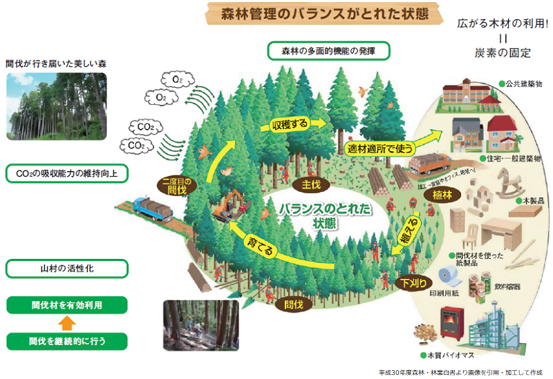 イラスト:森林管理の絵です。