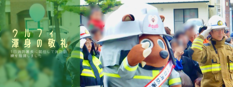 消防訓練の写真