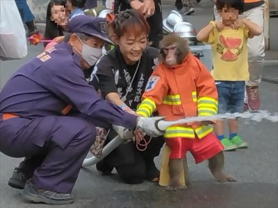 写真:猿が防火衣を着て放水体験している様子です。令和5年11月3日、4日