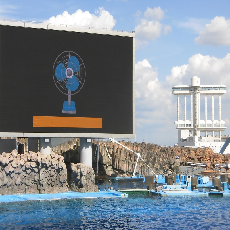 写真:水族館で放映している様子