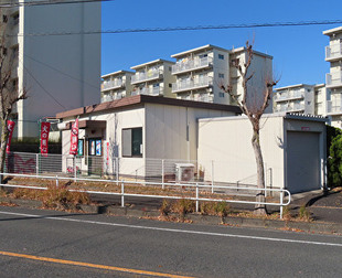 shimada