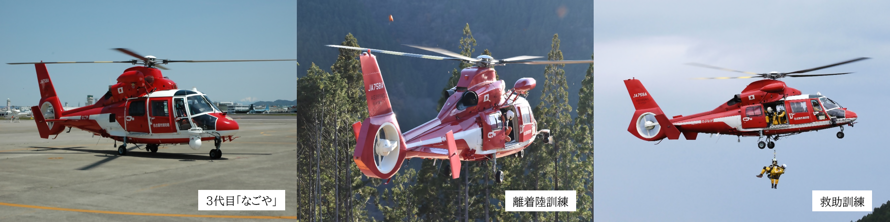 写真:3代目「なごや」(のぶなが)