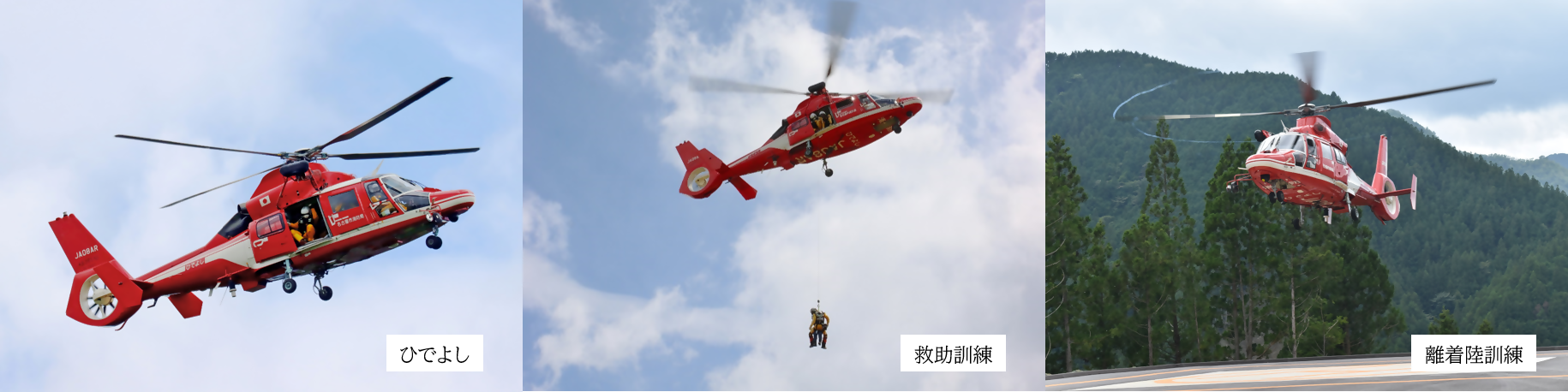 写真:「ひでよし」