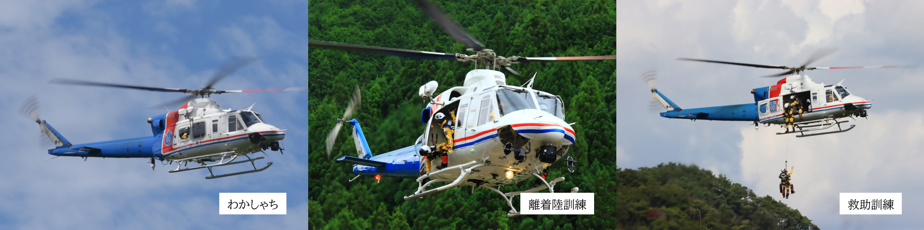 写真:「わかしゃち」