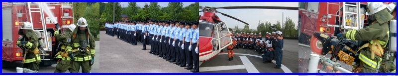 訓練や礼式の様子を撮影した様子の写真