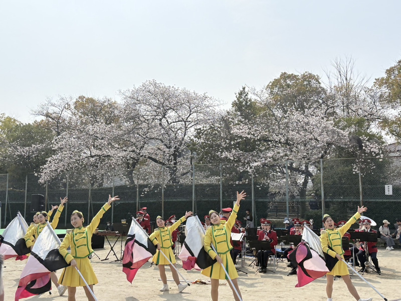 野田春まつりでの演奏演技の写真です