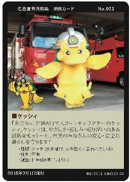 写真:No.3 ケッシィ