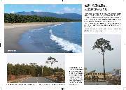 写真:奇跡の一本松パネル1