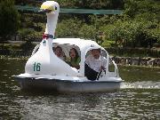 写真:東山動植物園を案内してくれた東星中学校の生徒たち