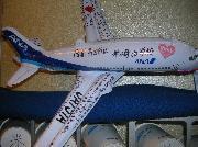 写真:飛行機の機長・客室乗務員からの歓迎のメッセージが書かれた飛行機の模型