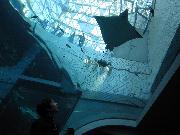 写真:名古屋港水族館を観光する中学生たち