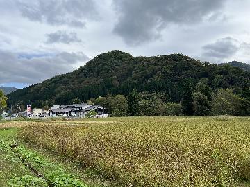 写真:レポート10月-2