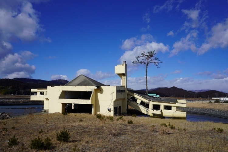 写真：現在の「陸前高田ユースホステルと奇跡の一本松」。ユースホステルの奥に奇跡の一本松が立っている。