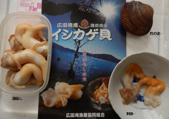 写真:イシカゲ貝の刺身や酒蒸し