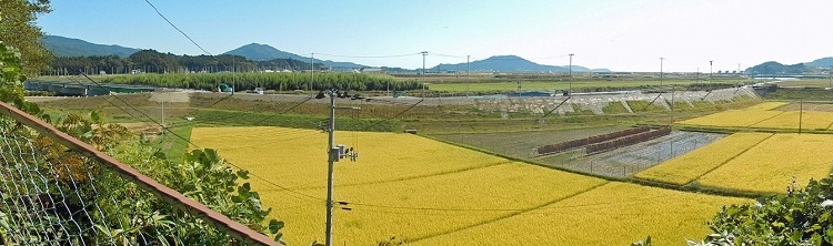 写真:気仙町の盛土が完了し、舗装工事が行われている。1