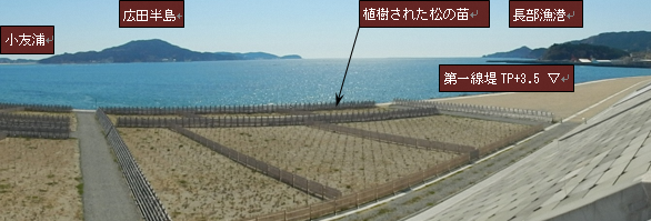 写真:防潮堤から広田湾を撮影した様子。奥には広田半島が見える。