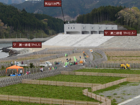 写真:再生植樹会を撮影した様子。奥には気仙川水門が見える。