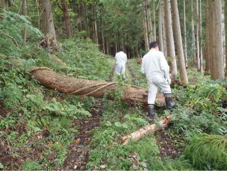 写真:配水池までの山道の一例。この時は倒木も起きている。