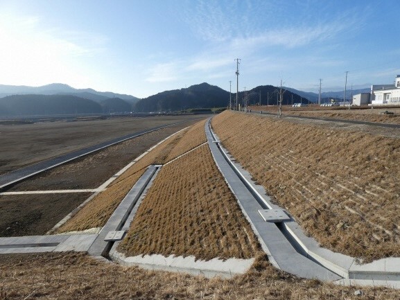 写真:平地部。斜面が続いている。