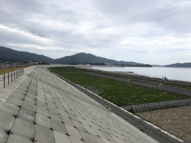 写真:再生中の高田松原。