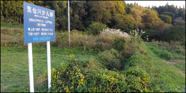 写真:気仙川かん排2.9km地点